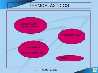 TERMOPL STICOS - slide 1