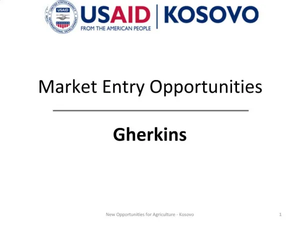 Market Entry Opportunities Gherkins