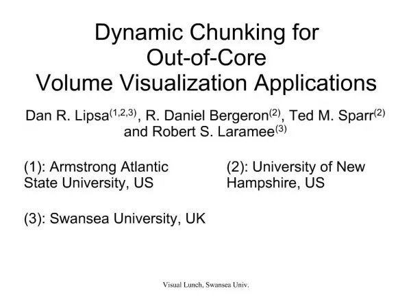 Dynamic Chunking for Out-of-Core Volume Visualization Applications
