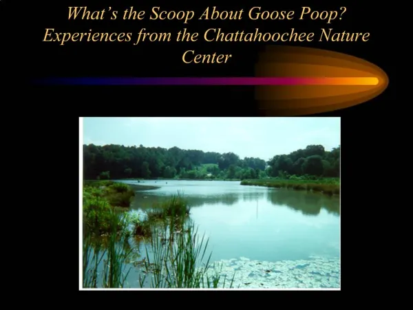 What s the Scoop About Goose Poop Experiences from the Chattahoochee Nature Center