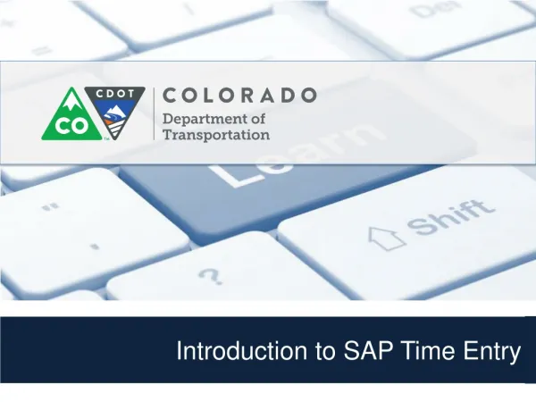 Introduction to SAP Time Entry