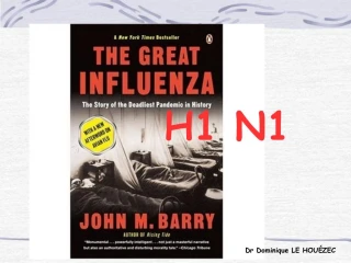 H1 N1 - slide 1