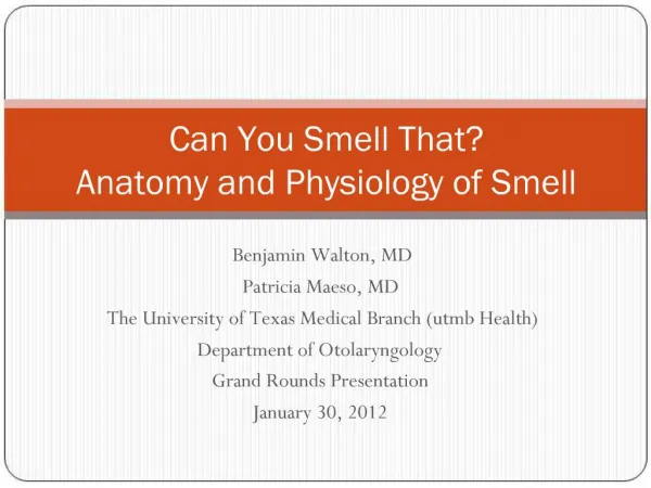 Can You Smell That Anatomy and Physiology of Smell