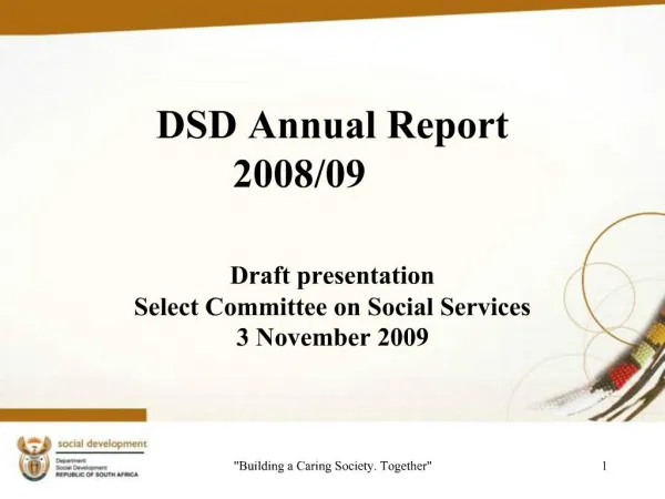 DSD Annual Report 2008