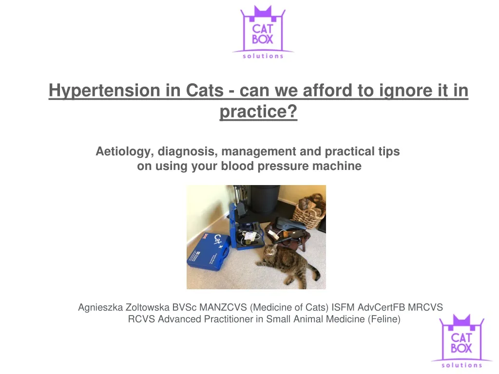 hypertension in cats can we afford to ignore