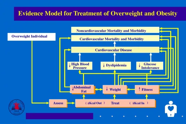 Evidence Model for Treatment of Overweight and Obesity