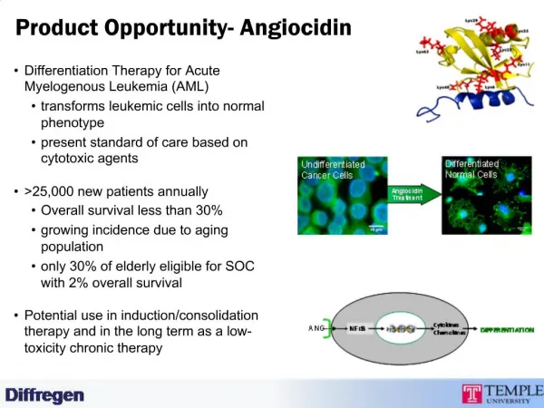 Product Opportunity- Angiocidin