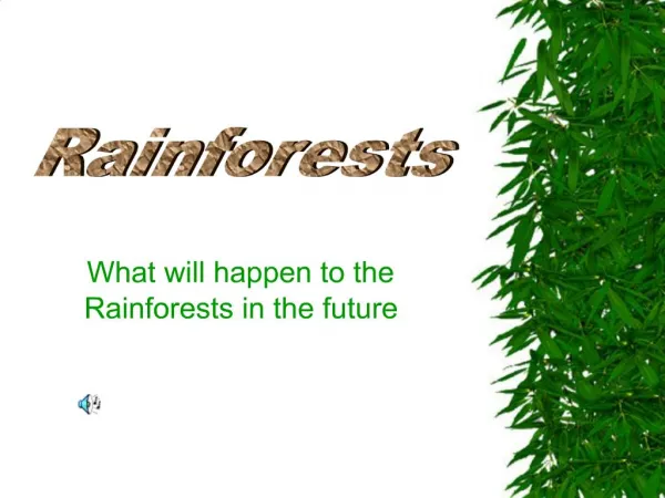 What will happen to the Rainforests in the future