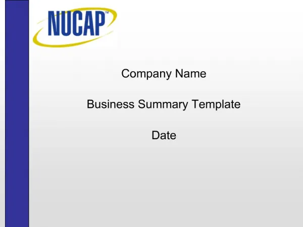 Company Name Business Summary Template Date