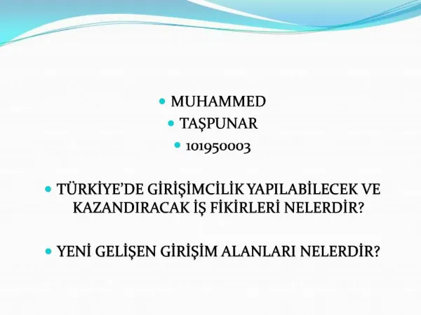 MUHAMMED TASPUNAR 101950003 T RKIYE DE GIRISIMCILIK YAPILABILECEK VE KAZANDIRACAK IS FIKIRLERI NELERDIR YENI GELISEN G