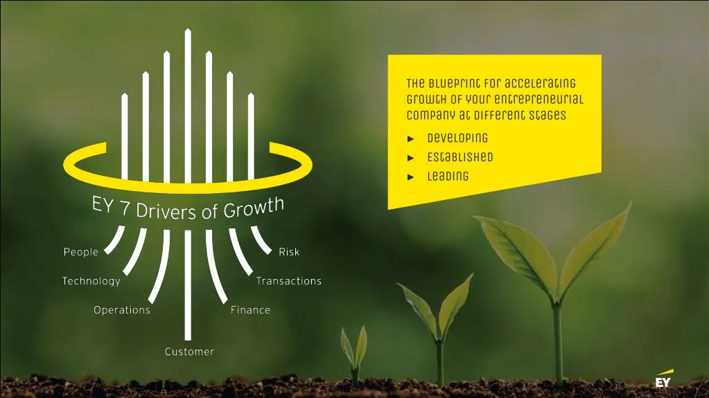 the blueprint for accelerating growth of your