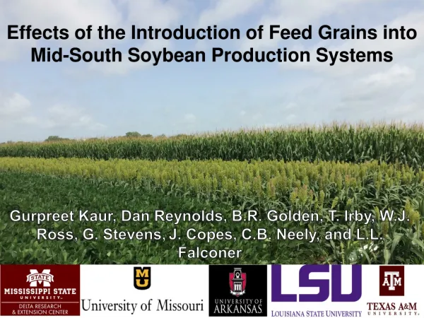 Effects of the Introduction of Feed Grains into Mid-South Soybean Production Systems