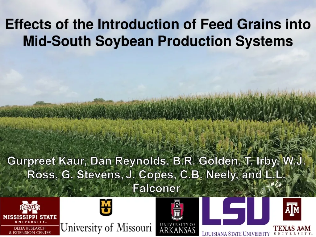 effects of the introduction of feed grains into mid south soybean production systems