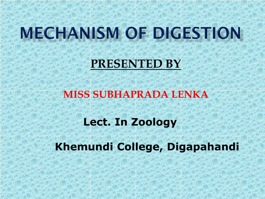 mechanism of digestion