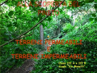 ALLA SCOPERTA DEL PINETO - slide 1