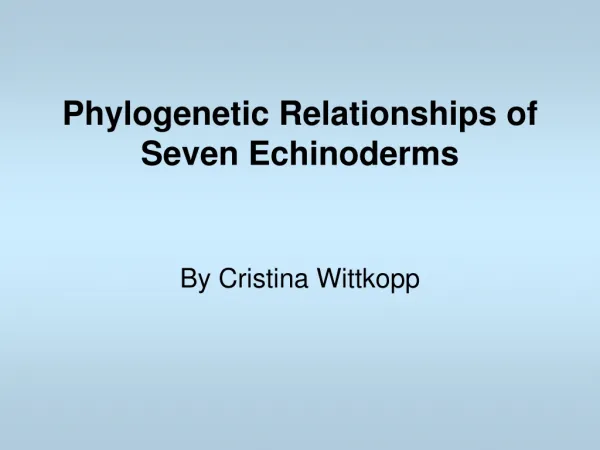 Phylogenetic Relationships of Seven Echinoderms