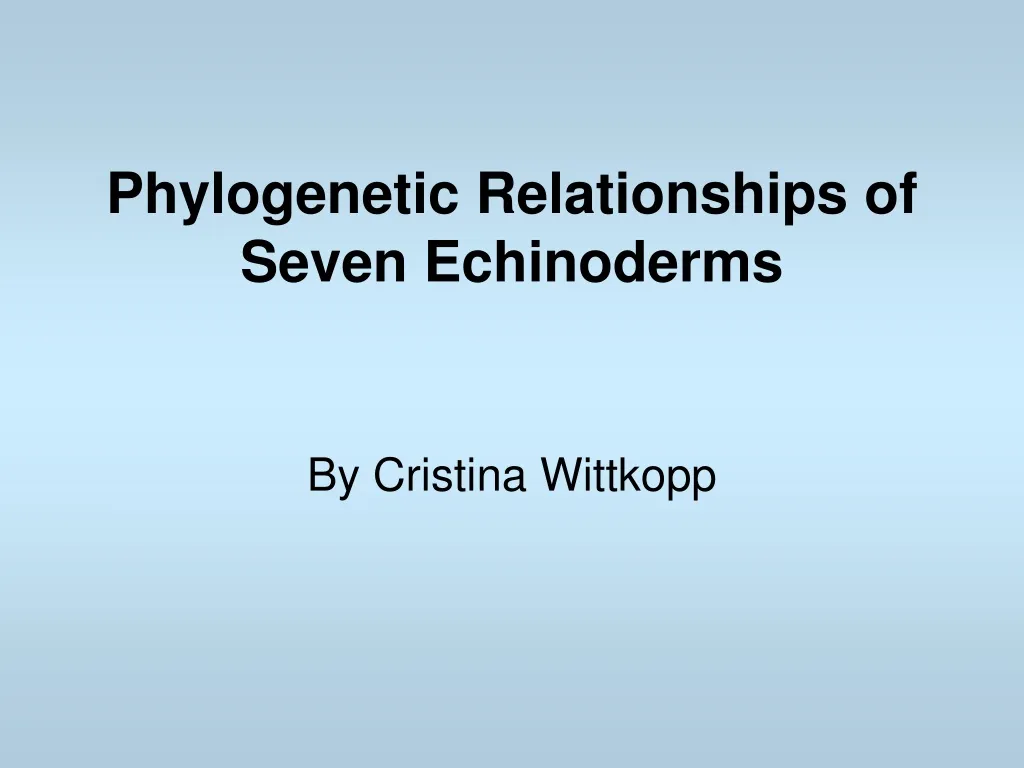 phylogenetic relationships of seven echinoderms