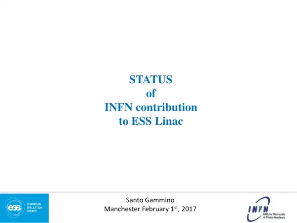 STATUS of INFN contribution to ESS Linac