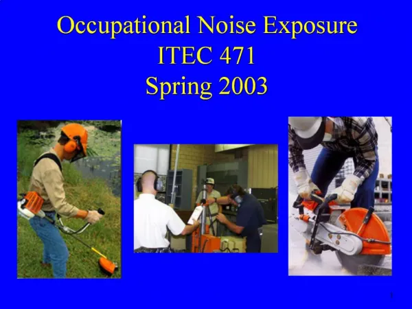 Occupational Noise Exposure ITEC 471 Spring 2003