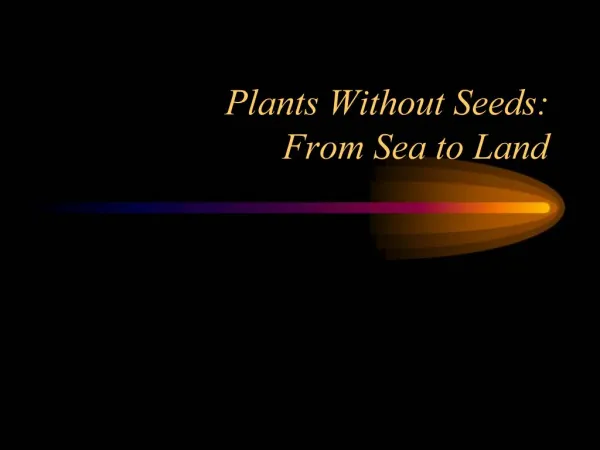 Plants Without Seeds: From Sea to Land