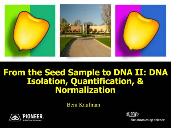 From the Seed Sample to DNA II: DNA Isolation, Quantification, Normalization