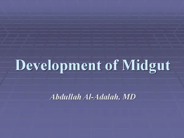 Development of Midgut
