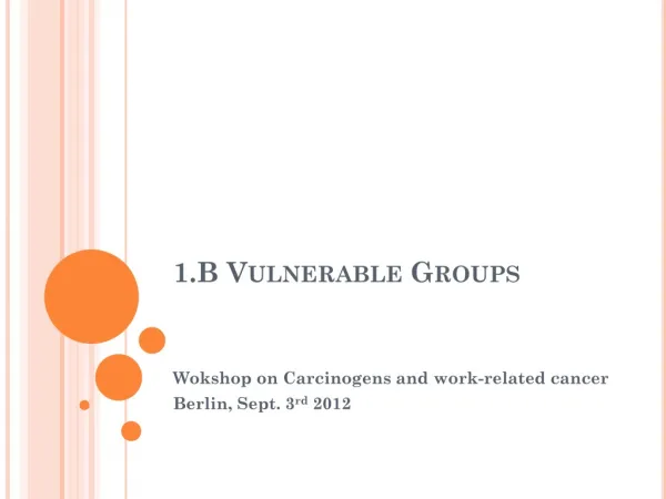 1.B Vulnerable Groups