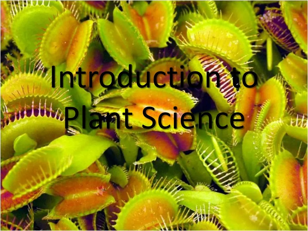 introduction to plant science