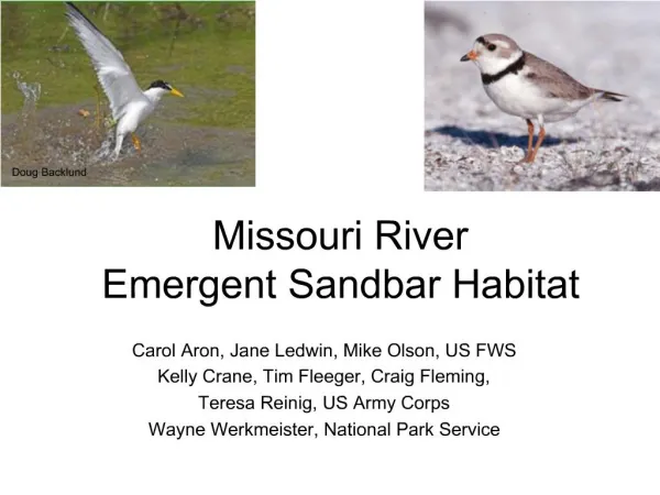 Missouri River Emergent Sandbar Habitat