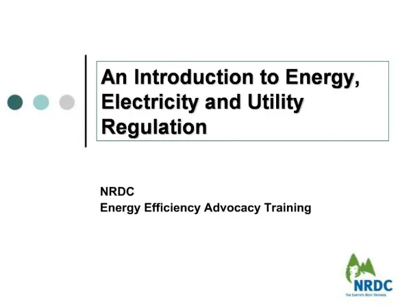 An Introduction to Energy, Electricity and Utility Regulation