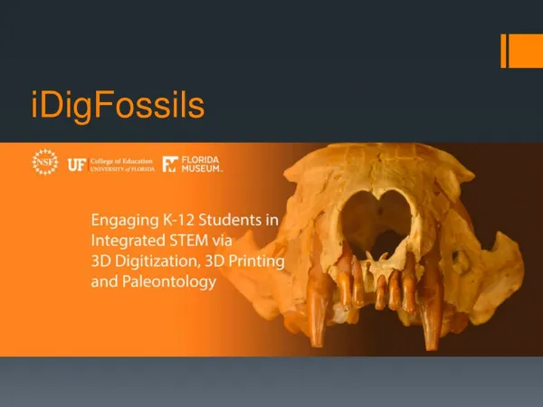 iDigFossils