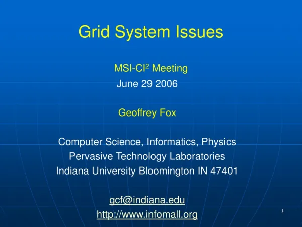 Grid System Issues MSI-CI 2 Meeting