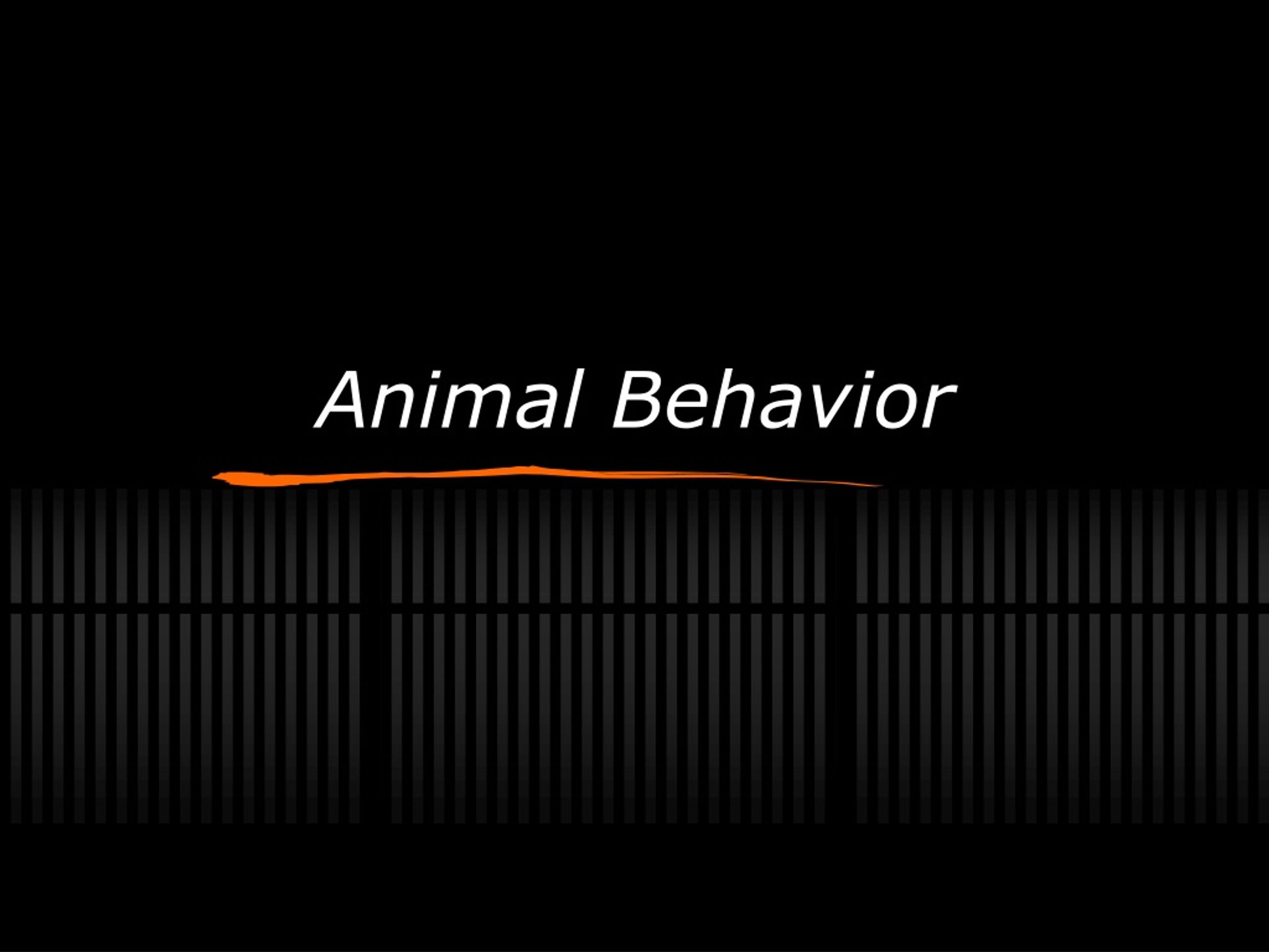 PPT - Animal Behavior PowerPoint Presentation, free download - ID:650716