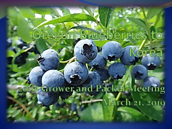 Oregon Blueberries to Korea