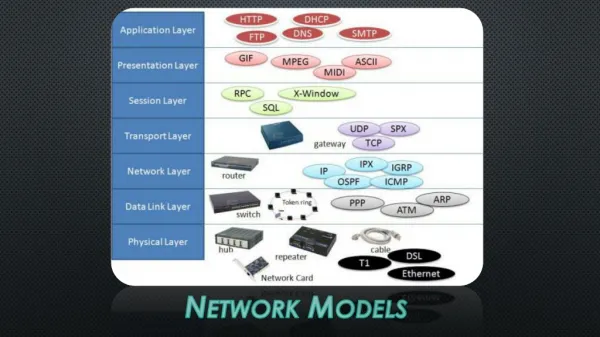 Network Models