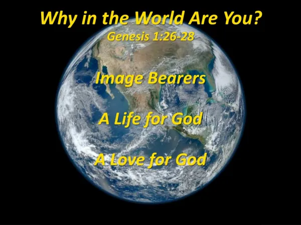 Why in the World A re Y ou? Genesis 1:26-28