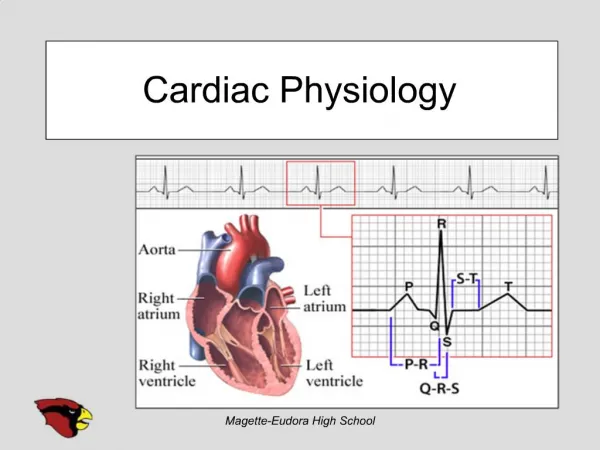 Cardiac Physiology