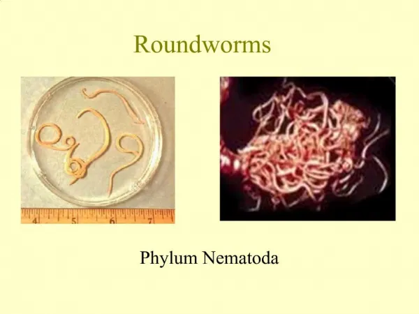 Roundworms