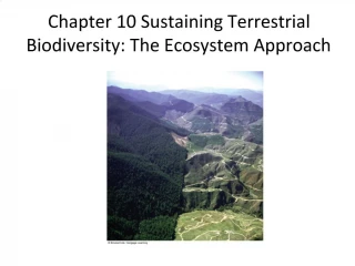 PPT - Chapter 10 Biodiversity PowerPoint Presentation, Free Download ...