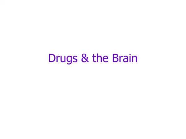 Drugs the Brain