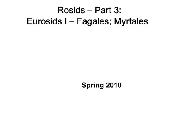 Rosids Part 3: Eurosids I Fagales; Myrtales