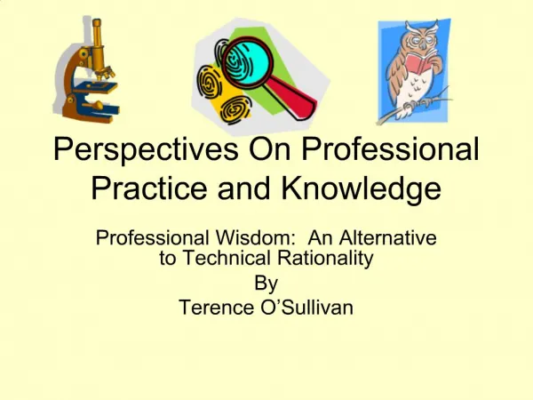 Perspectives On Professional Practice and Knowledge