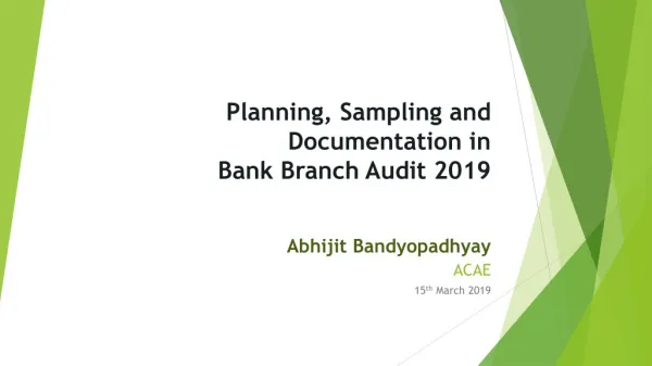 Planning, Sampling and Documentation in Bank Branch Audit 2019