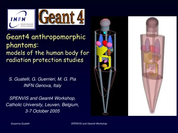 Geant4 anthropomorphic phantoms: models of the human body for radiation protection studies