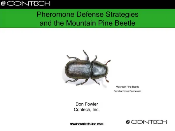 Pheromone Defense Strategies and the Mountain Pine Beetle