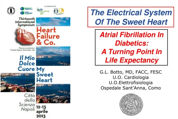 The Electrical System Of The Sweet Heart