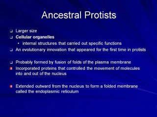Ancestral Protists - slide 1