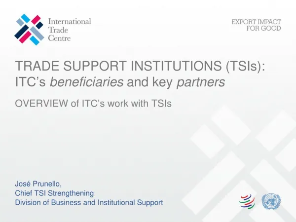 TRADE SUPPORT INSTITUTIONS ( TSIs ): ITC’s beneficiaries and key partners
