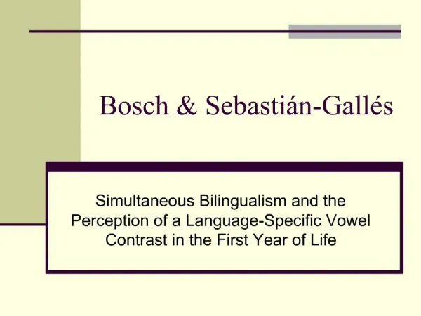 Bosch Sebasti n-Gall s