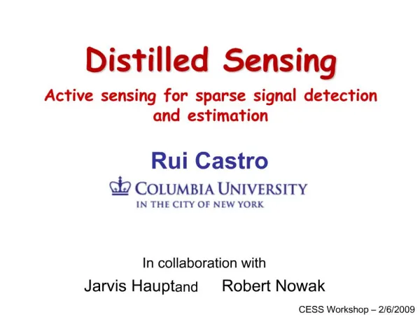 Distilled Sensing Active sensing for sparse signal detection and estimation